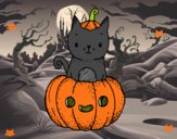 Un gatito de Halloween