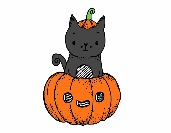 Un gatito de Halloween