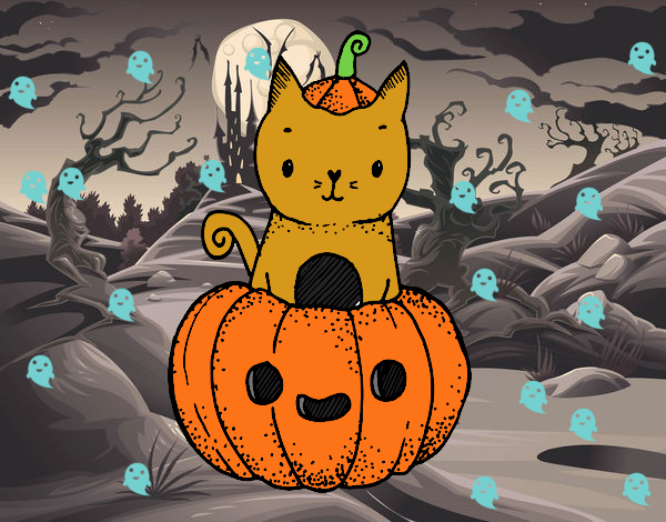 Un gatito de Halloween