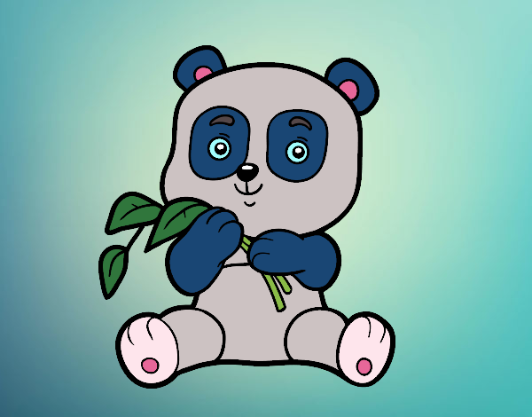 Un oso panda