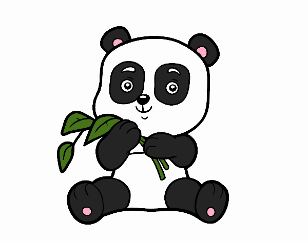 Un oso panda