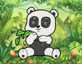 Un oso panda