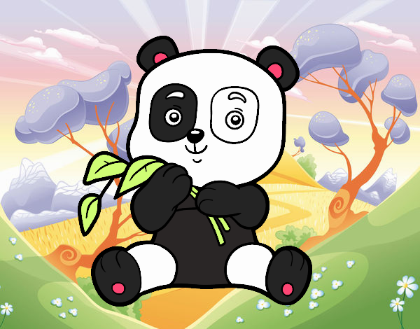 Un oso panda