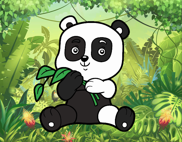 Un oso panda