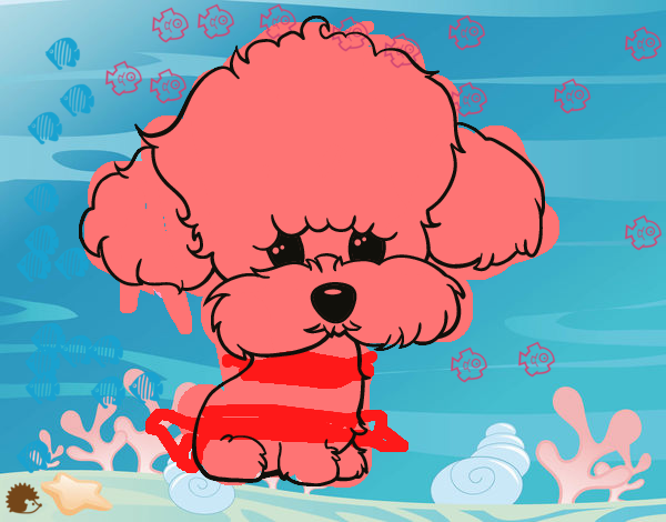 Cachorro de poodle