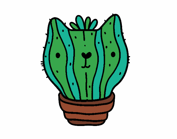 Cactus gato