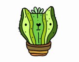 Cactus gato