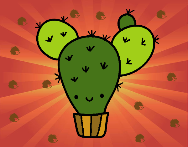 Cactus nopal