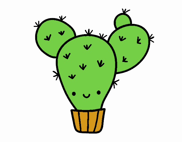 Mi cactus