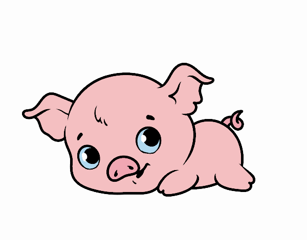 Cerdito bebe