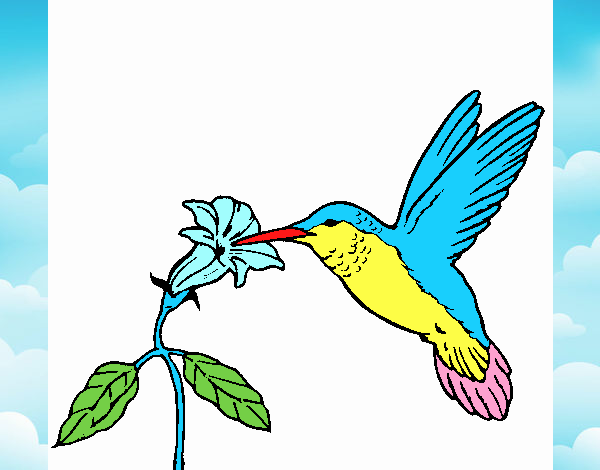 Colibrí y una flor