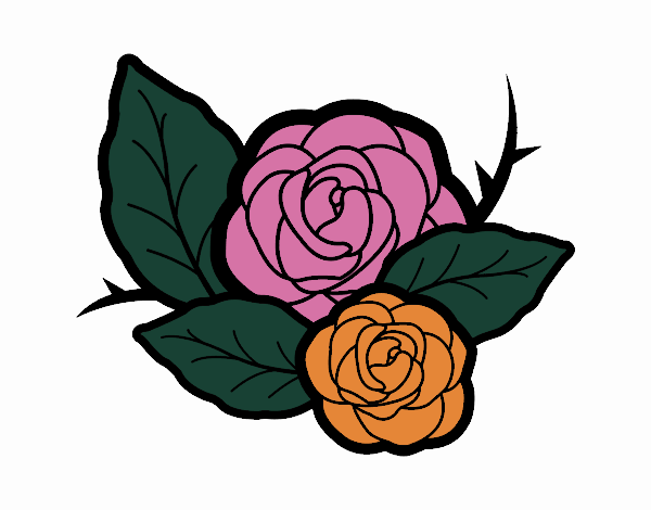 Dos rosas