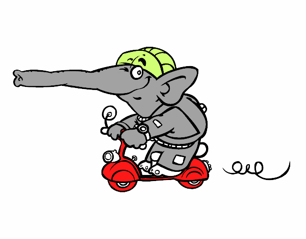 elefante motoquero