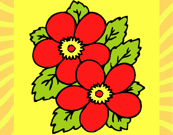flor de rosi