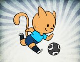 Gato jugando a fútbol