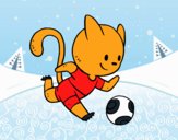 Gato jugando a fútbol