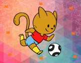 Gato jugando a fútbol