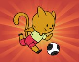 Gato jugando a fútbol