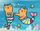 Gatos sirena