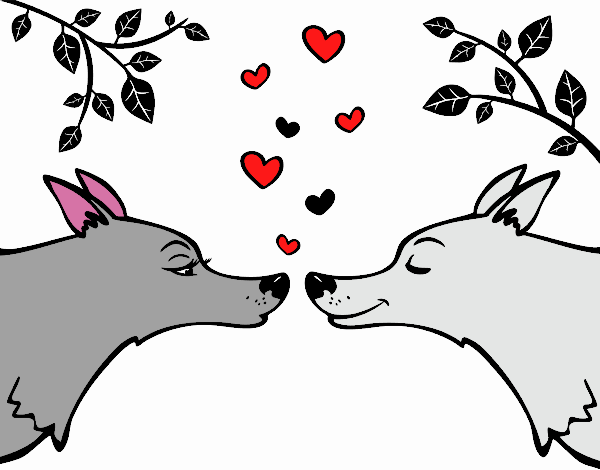 Lobos enamorados