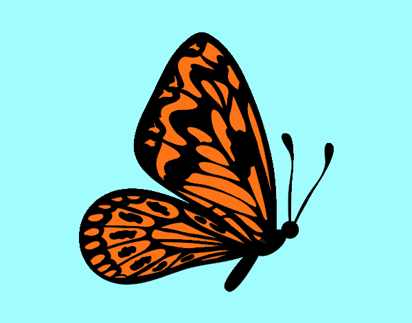 Mariposa