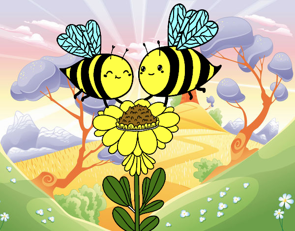 Pareja de abejas