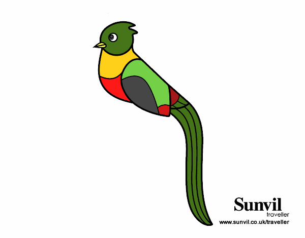 Quetzal