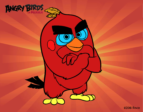 Red de Angry Birds