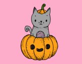 Un gatito de Halloween