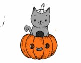 Un gatito de Halloween