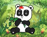 Un oso panda