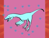Velociraptor II 1