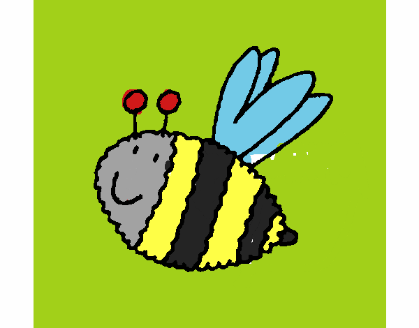 Abeja 4