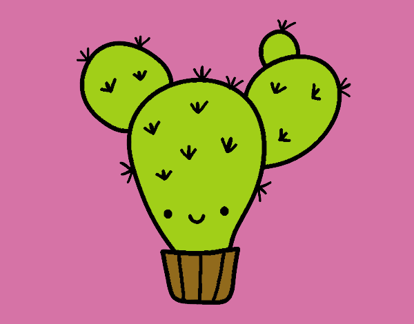 Cactus nopal