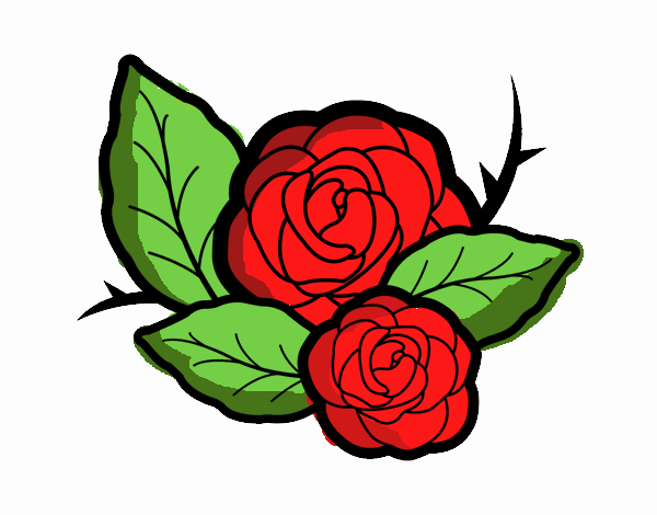 Dos rosas