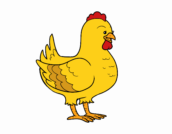 Gallina de una granja