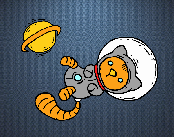 Gatito astronauta