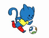 Gato jugando a fútbol