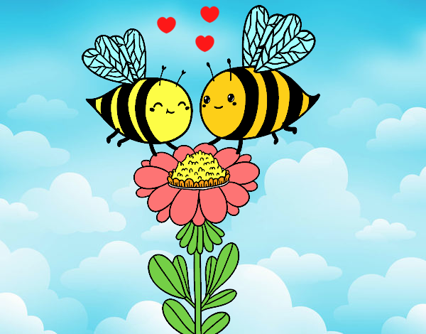 Pareja de abejas