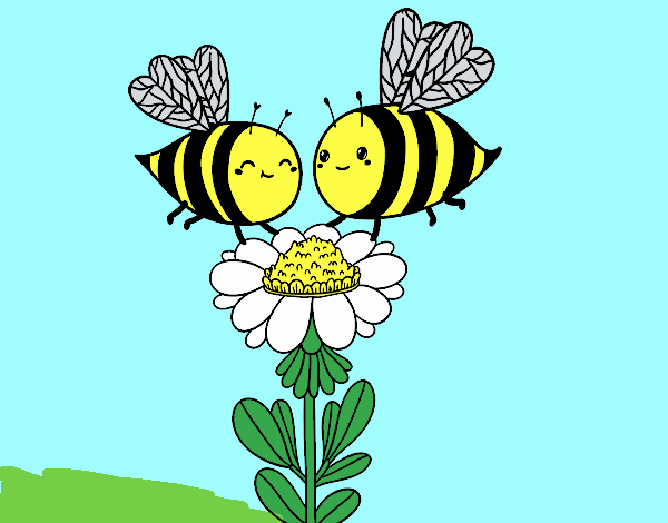 Pareja de abejas