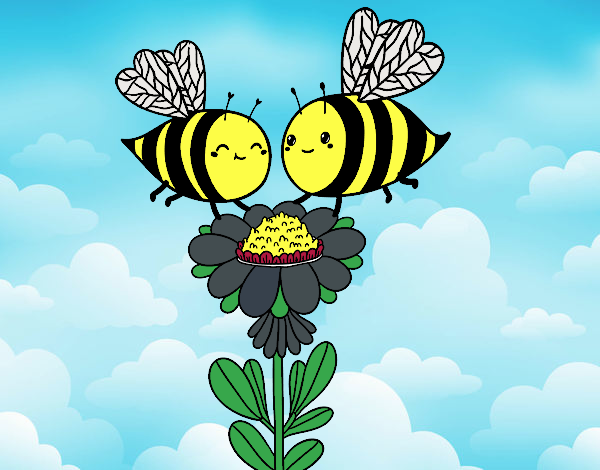 Pareja de abejas