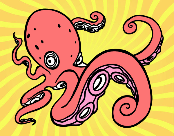 Pulpo enfadado