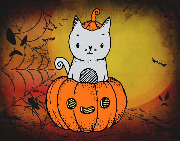 Un gatito de Halloween