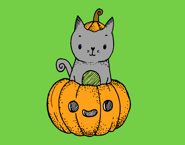 Un gatito de Halloween