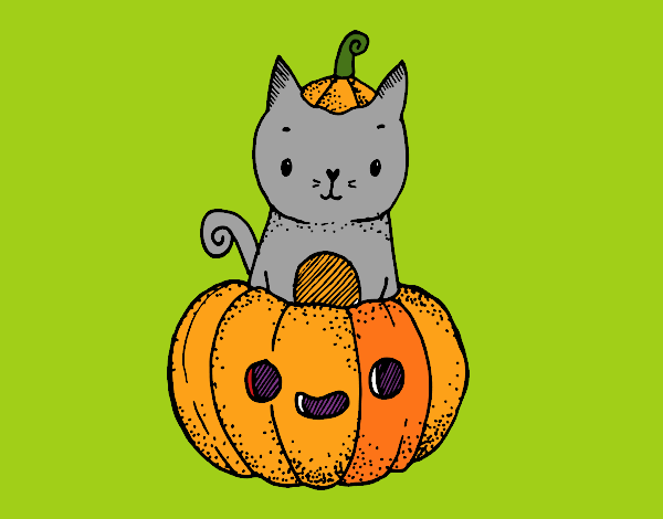 Un gatito de Halloween