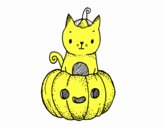 Un gatito de Halloween