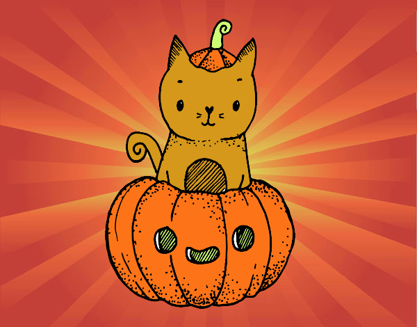 Un gatito de Halloween