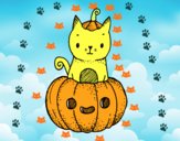 Un gatito de Halloween