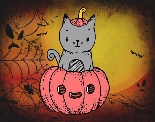 Un gatito de Halloween