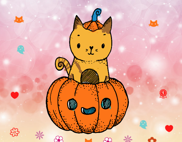 Un gatito de Halloween